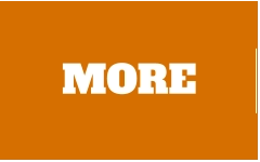 MORE