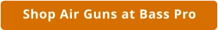 Air Guns at Bass Pro