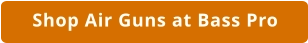 Air Guns at Bass Pro