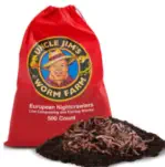 Buy Live Worms for Worm Farm