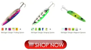 Fishing Lures for Pardee Reservoir Fishing