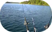 Fishing Trolling
