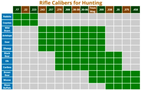 Hunting Rifle Calibers