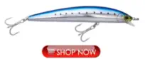 Hydro Minnow Lure for Surf Perch