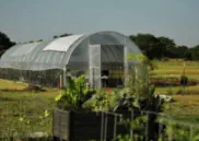 Loop Greenhouse Garden Kit