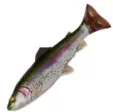 Savage Gear 4D Pulse Tail Trout Swimbait