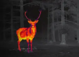 Thermal Vision Scope